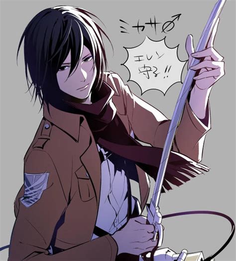 Her dark hair, pink lips, grey eyes, her perfect body. . Mikasa x male reader